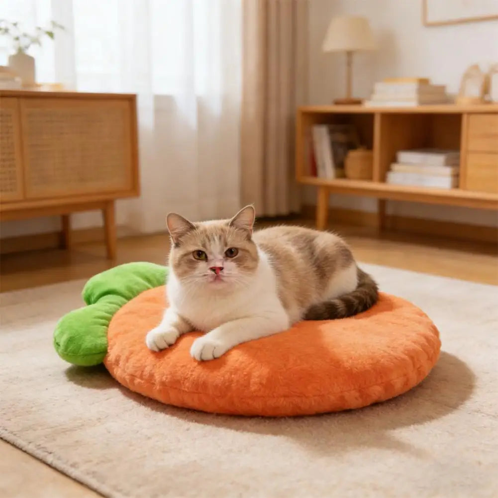 Coussin Lavable pour Chat et Chien – Tapis Doux en Forme de Carotte pour Petits Animaux