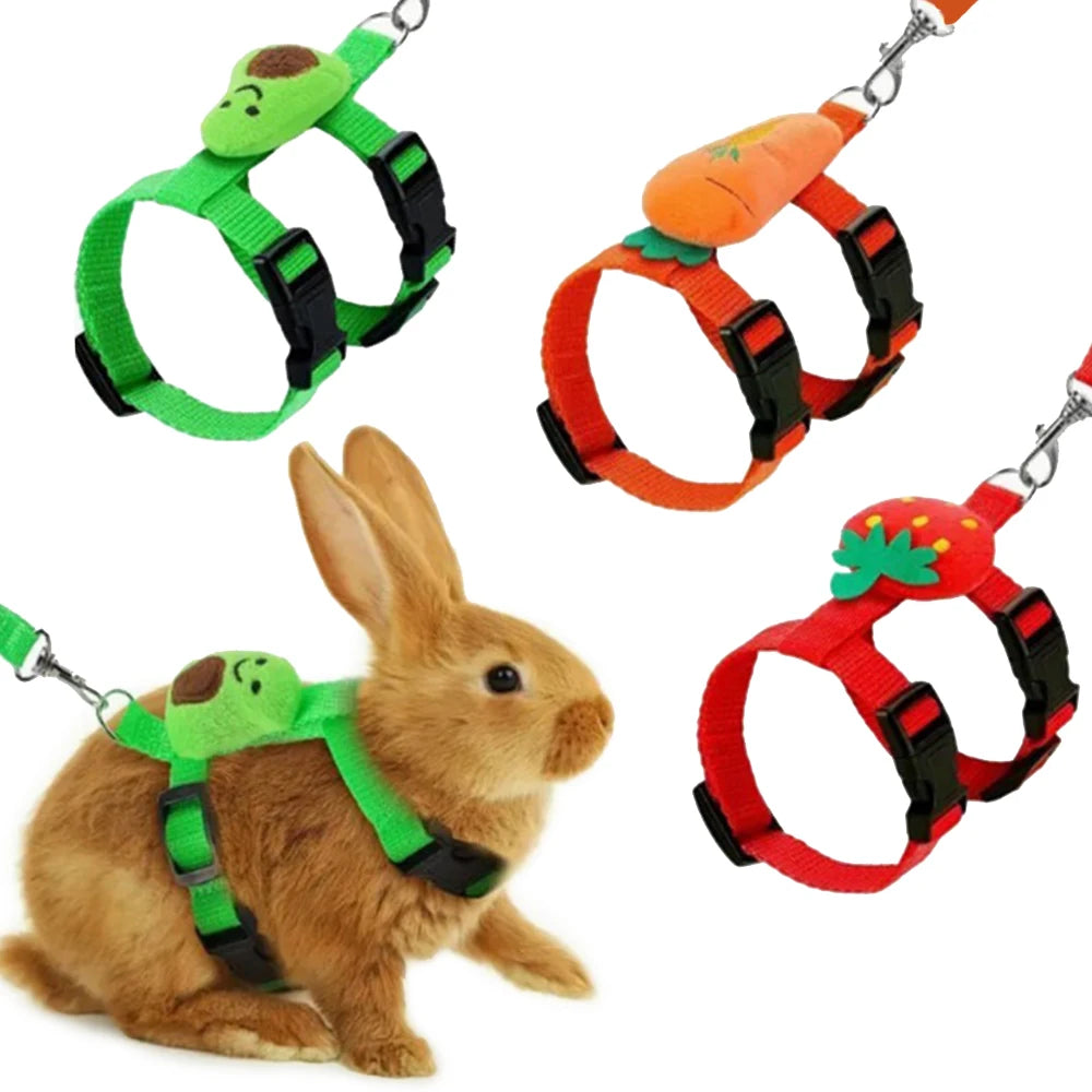 Harnais et Laisse pour Lapin et Chat – Réglable, pour Petits Animaux, Furets, Cochons d'Inde, Hérissons, Balade Extérieure