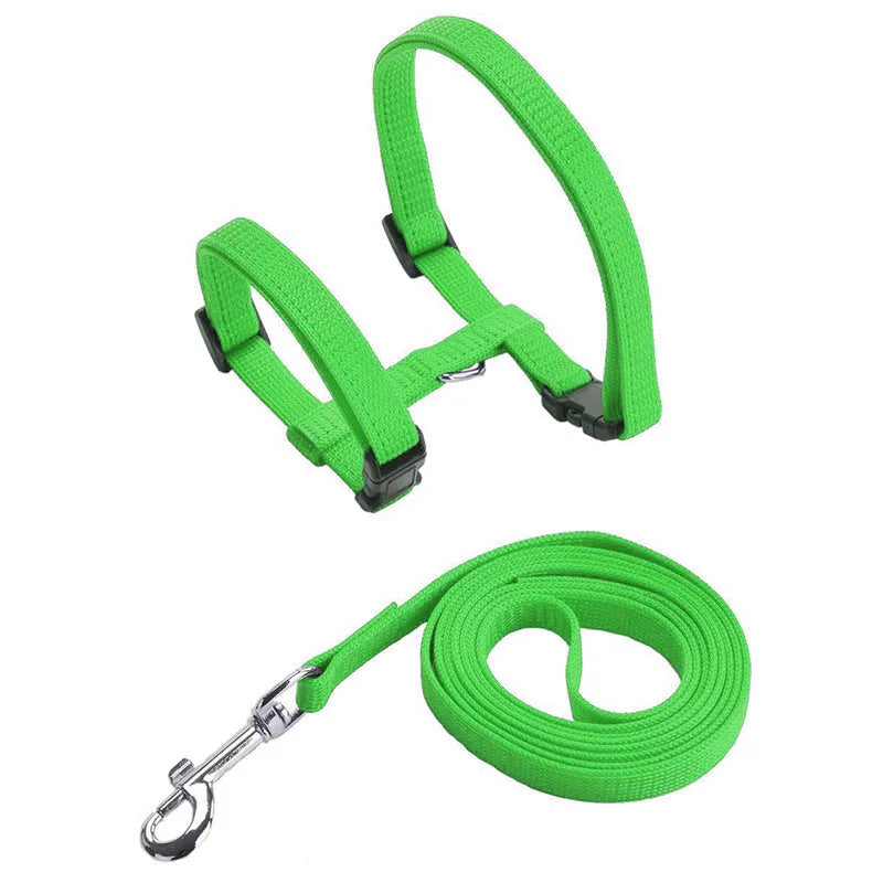 Harnais et Laisse Réglables pour Lapin et Chat – Nylon, Balade Extérieure, Chaton, Lapin Nain (Accessoires)