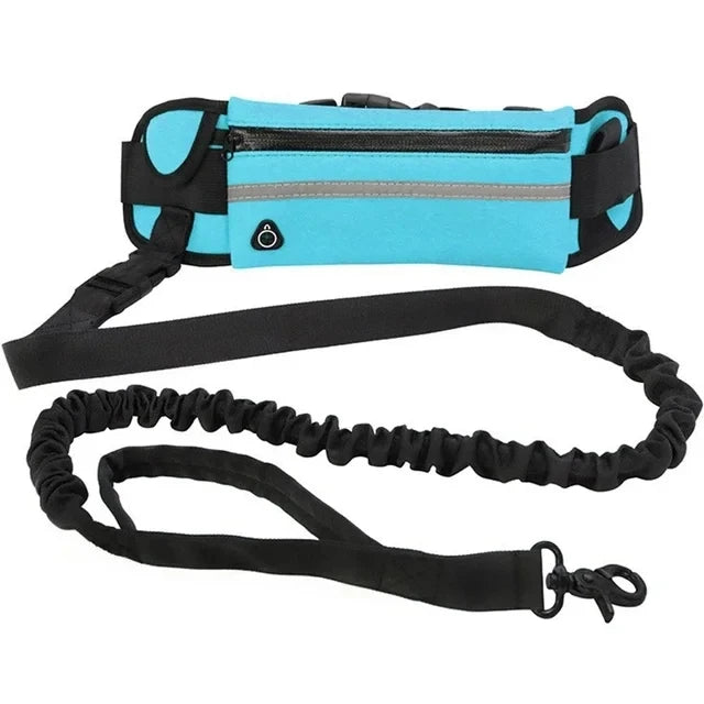 Laisse de Course pour Chien – Ceinture Lombaire avec Sac, Laisse Élastique Rétractable, Réfléchissante, Nylon