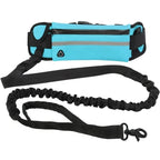 Laisse de Course pour Chien – Ceinture Lombaire avec Sac, Laisse Élastique Rétractable, Réfléchissante, Nylon