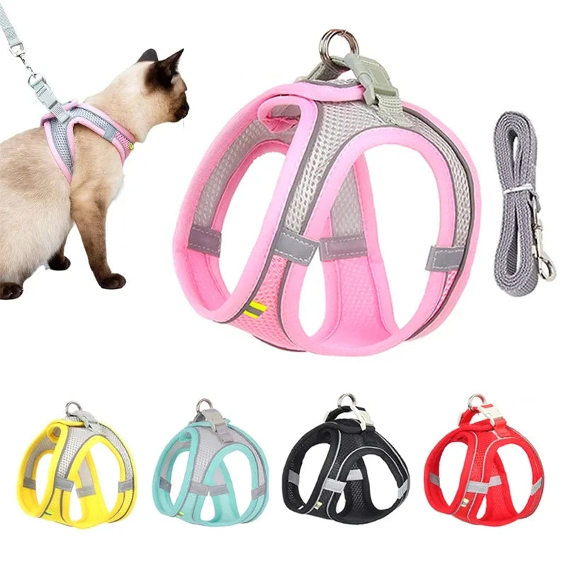 Harnais Réfléchissant Réglable pour Chat et Petit Chien – Laisse Incluse, Accessoires Animaux