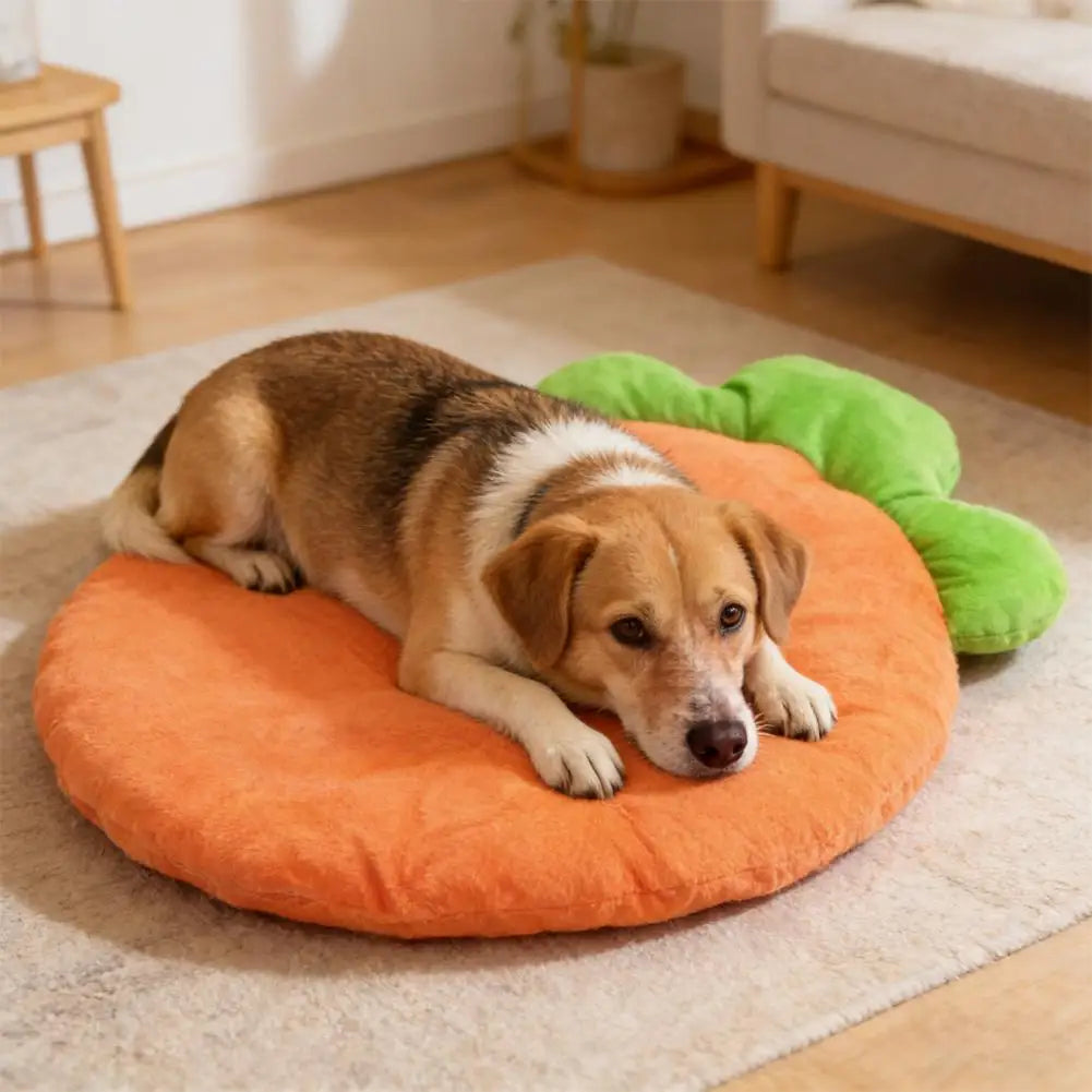 Coussin Lavable pour Chat et Chien – Tapis Doux en Forme de Carotte pour Petits Animaux