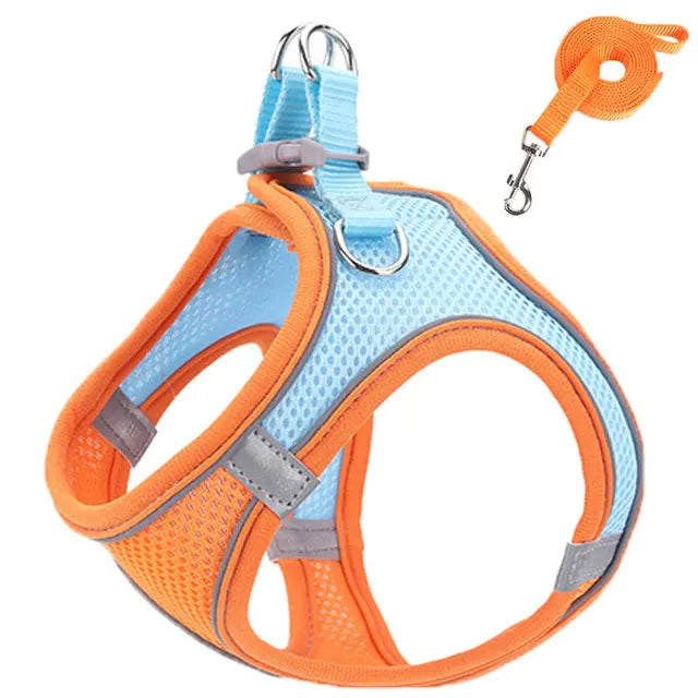 Harnais Réfléchissant Réglable pour Chat et Petit Chien – Laisse Incluse, Accessoires Animaux