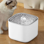 Fontaine à Eau pour Chat 3L – Filtration Triple, Grande Capacité, Silencieuse, USB, Distributeur d'Eau pour Chien et Chat