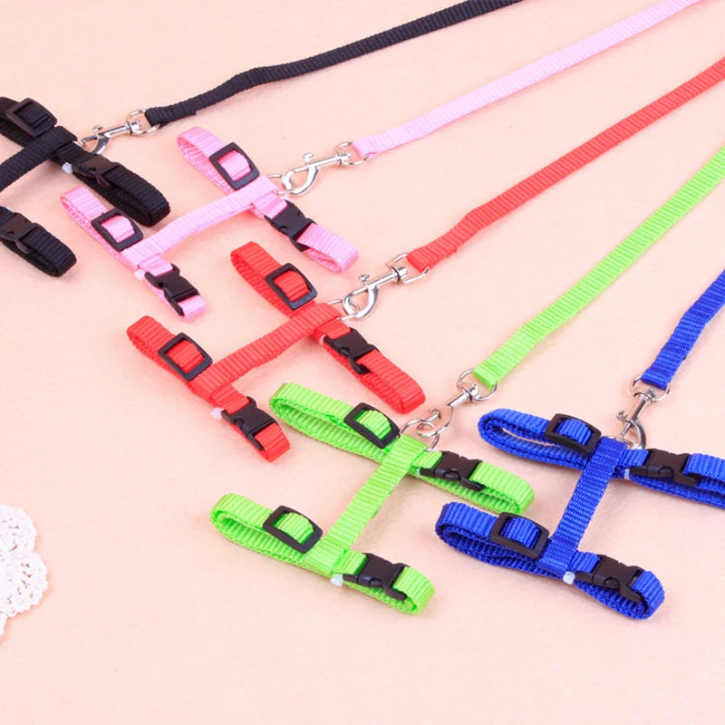Harnais et Laisse Réglables pour Lapin et Chat – Nylon, Balade Extérieure, Chaton, Lapin Nain (Accessoires)