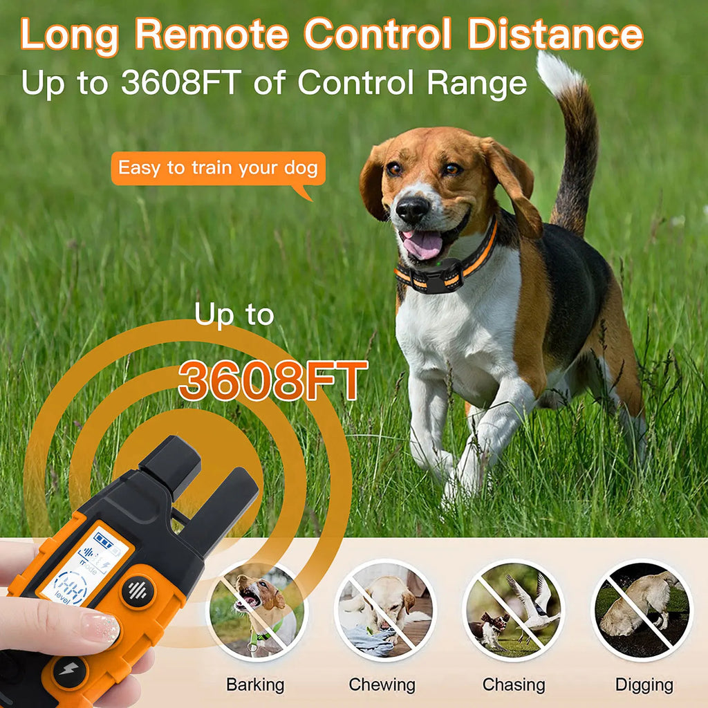 Collier de Dressage pour Chien 1000m – Télécommande, Rechargeable, Étanche, Bip/Vibration/Choc, Haute Qualité