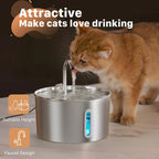 Fontaine à Eau Automatique 2,2L pour Chat – Inox, Pompe Silencieuse, Filtration, Fenêtre Visuelle