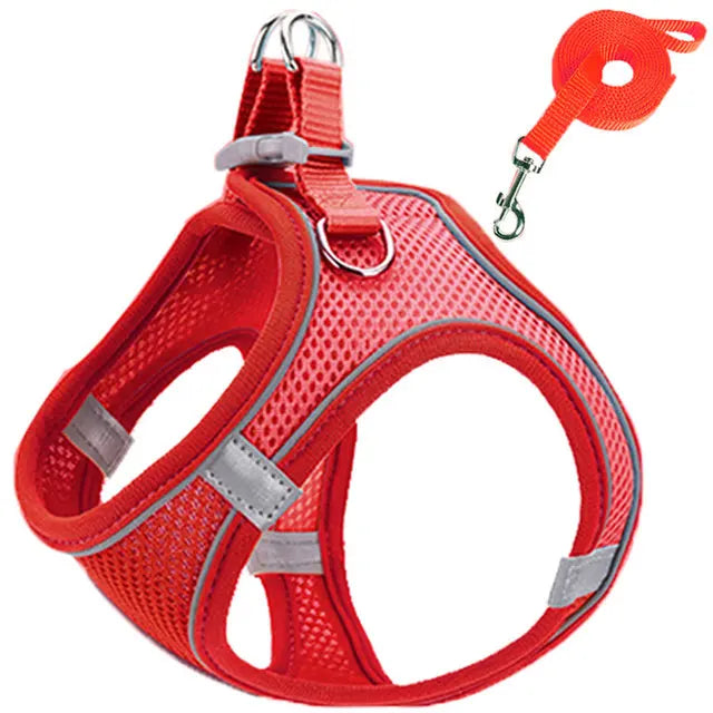 Harnais Réfléchissant Réglable pour Chat et Petit Chien – Laisse Incluse, Accessoires Animaux