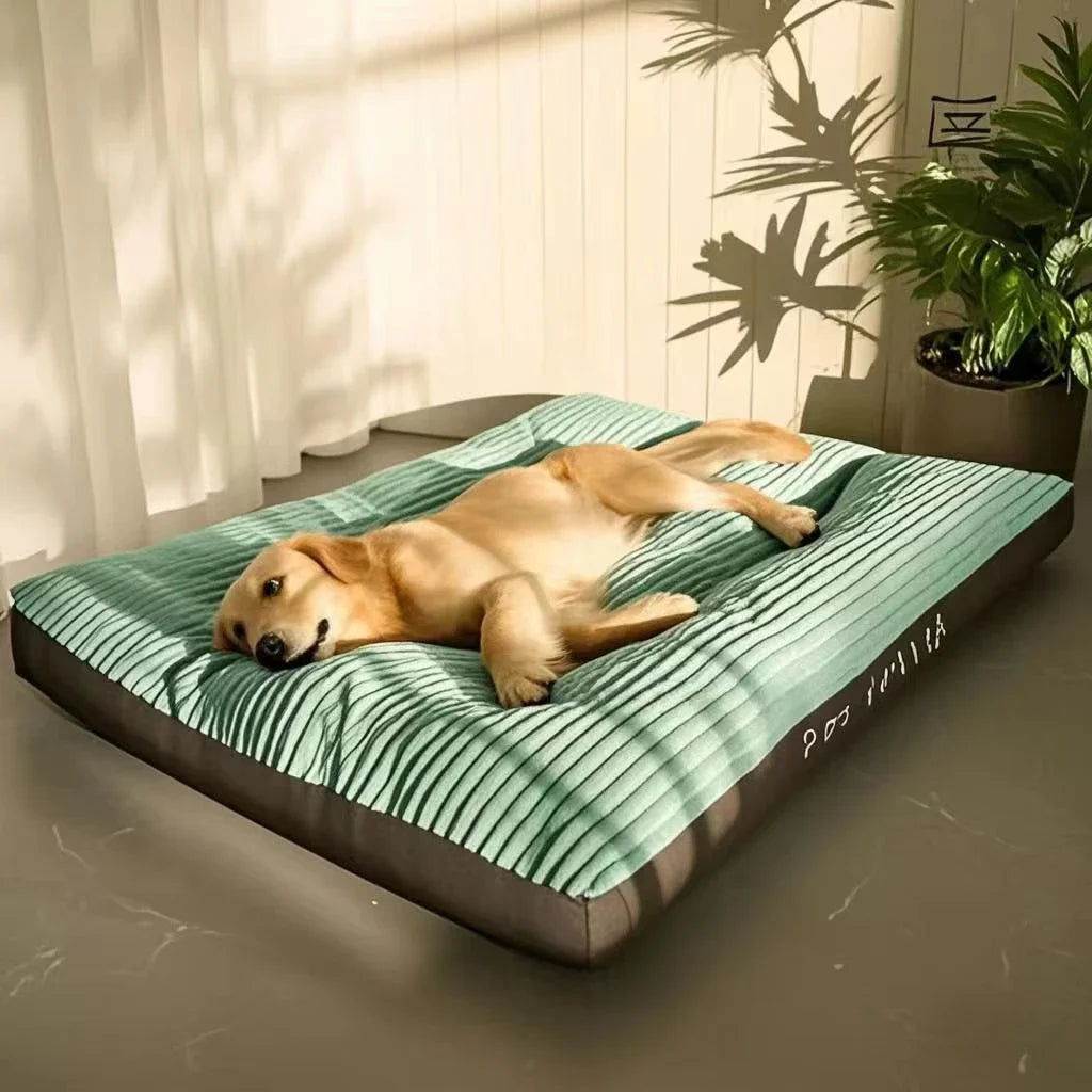 Tapis Canapé Velours Côtelé pour Grand Chien – Épais, Ultra-Doux, Lavable, Taille XL à XXXL