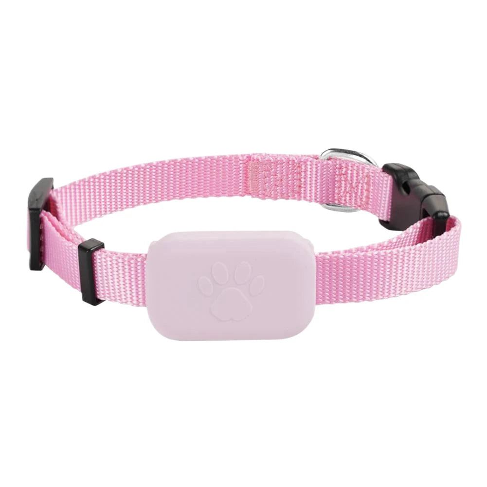 Traceur GPS Étanche pour Chien et Chat – Suivi en Temps Réel