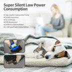 Fontaine à Eau LED pour Chat 2L – Ultra Silencieuse