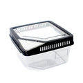 Boîte Transparente Anti-Évasion pour Reptiles – Terrarium en Plastique avec Couvercle Rabattable pour Lézards, Escargots et Petits Reptiles