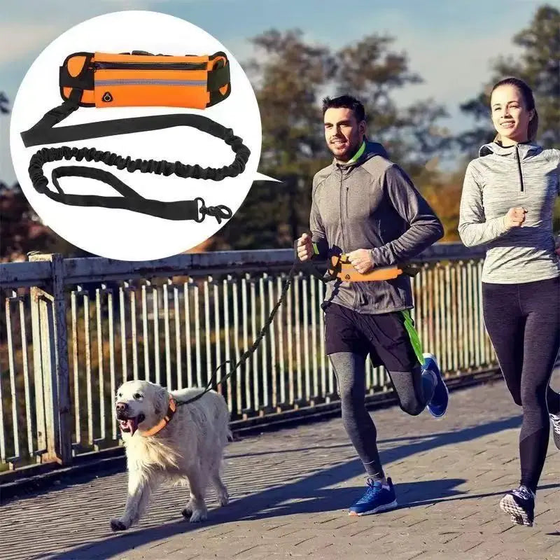 Laisse de Course pour Chien – Ceinture Lombaire avec Sac, Laisse Élastique Rétractable, Réfléchissante, Nylon