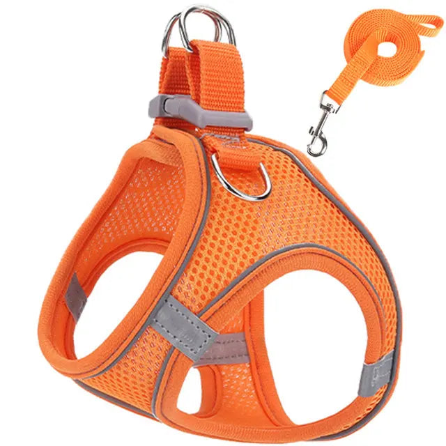 Harnais Réfléchissant Réglable pour Chat et Petit Chien – Laisse Incluse, Accessoires Animaux