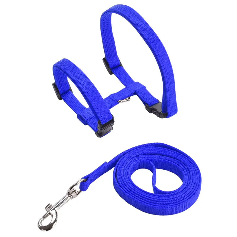 Harnais et Laisse Réglables pour Lapin et Chat – Nylon, Balade Extérieure, Chaton, Lapin Nain (Accessoires)