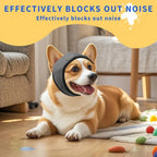 Cagoule de Toilettage pour Chien – Bonnet Calmant, Protège-Oreilles Anti-Griffures & Réduction du Bruit – Bain & Séchage
