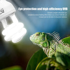 Lampe UVB pour Reptiles 13W/26W – Éclairage Économique à Rayons UV 5.0/10.0 pour Terrarium, Tortues, Lézards et Serpents