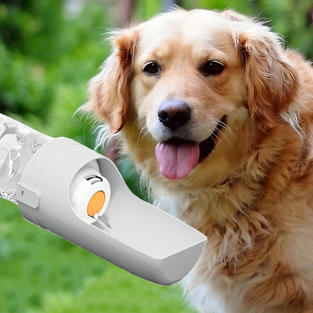 Gourde Portable pour Chien – Distributeur d'Eau Ergonomique pour Balade, Randonnée et Voyage