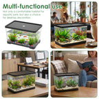 Aquarium Transparent Rectangulaire avec Couvercle – Bureau ou Maison, Plantes Aquatiques, Décoration Intérieure