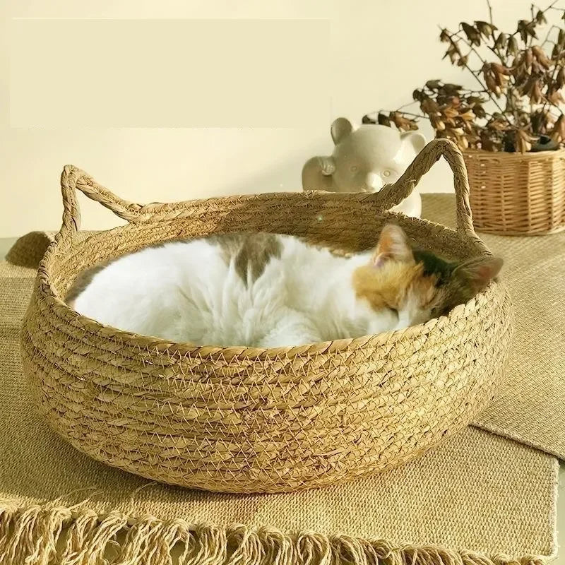 Corbeille pour Chat Tressée à la Main en Osier – Coussin Amovible et Lavable, Toutes Saisons, Accessoires Animaux