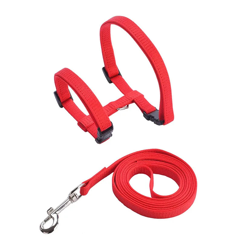 Harnais et Laisse Réglables pour Lapin et Chat – Nylon, Balade Extérieure, Chaton, Lapin Nain (Accessoires)