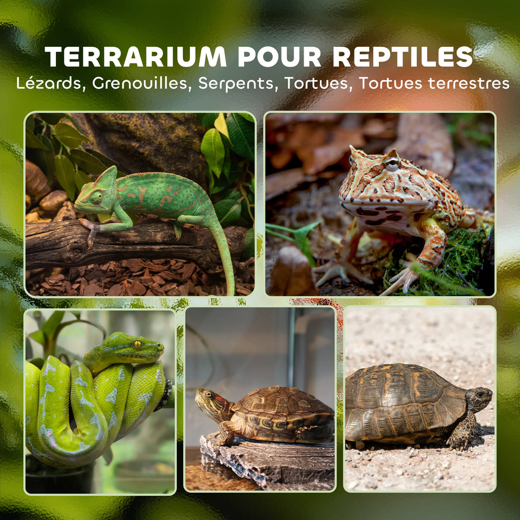 Terrarium Reptile – Boîte d'Élevage en Verre Trempé, Fermeture Sécurisée, Ventilation Frontale, Sans Montage, 50x30x35 cm, Noir