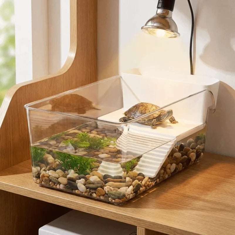 Terrarium Transparent pour Tortue – Séparation Sec/Humide avec Zone de Bain de Soleil et Plateforme d'Escalade en Plastique