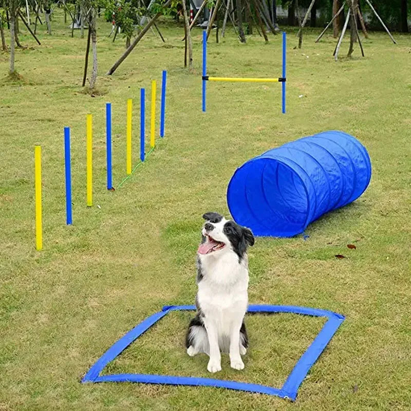 Tunnel d'Agilité Pliable pour Chien et Chat – Équipement d'Entraînement Outdoor et Sports Canins