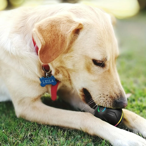 Balle Interactive Intelligente pour Chien – Roulement & Rebond Aléatoire, Lumières Colorées, Rechargeable USB – 4h d'Autonomie