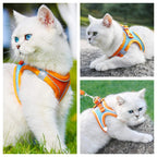 Harnais Réfléchissant Réglable pour Chat et Petit Chien – Laisse Incluse, Accessoires Animaux