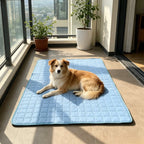 Tapis Rafraîchissant pour Chien – Lit Frais Respirant pour Petits et Grands Chiens, Idéal pour l'Été