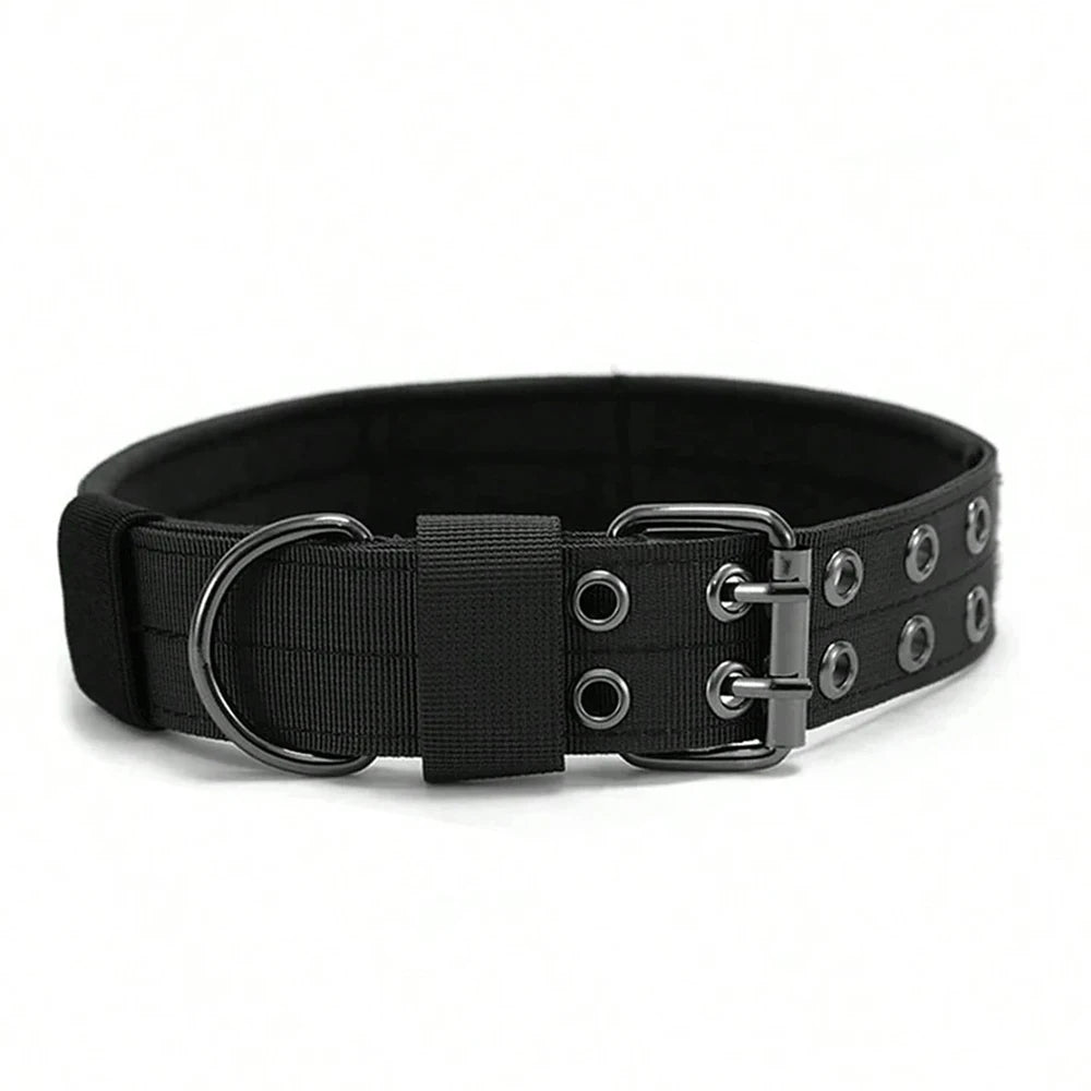 Collier Tactique Militaire pour Chien – Nylon Robuste, Réglable, pour Chiens Moyens et Grands
