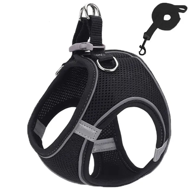 Harnais Réfléchissant Réglable pour Chat et Petit Chien – Laisse Incluse, Accessoires Animaux