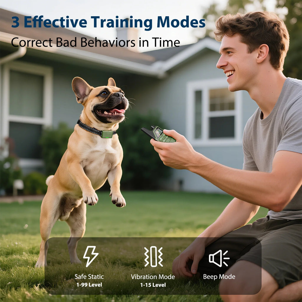Collier de Dressage Électrique pour Chien – Télécommande 300m, IPX7 Étanche, Rechargeable, Anti-Aboiement