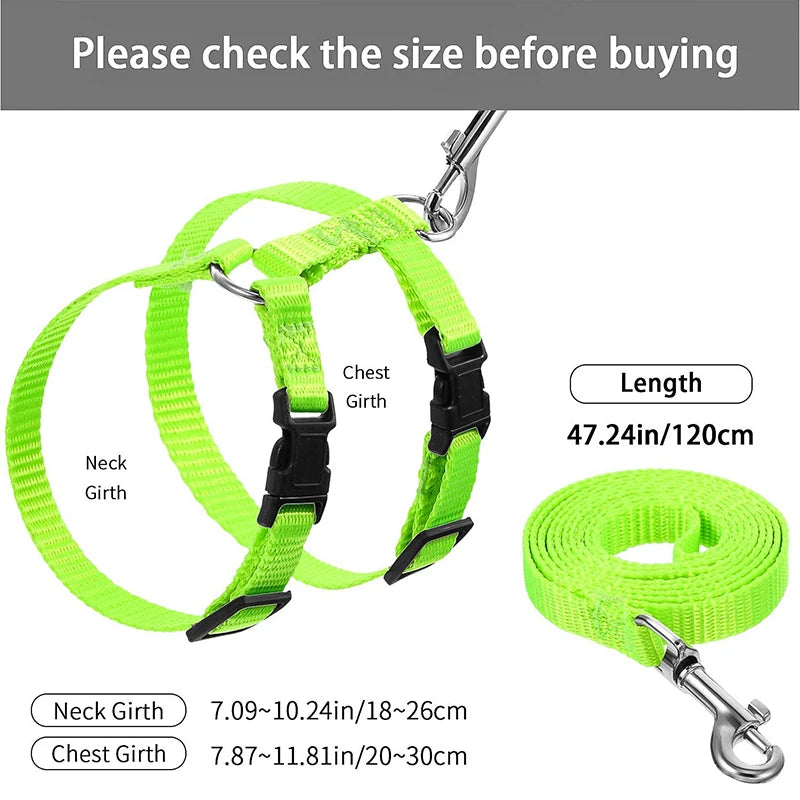 Harnais et Laisse Réglables pour Lapin et Chat – Nylon, Balade Extérieure, Chaton, Lapin Nain (Accessoires)