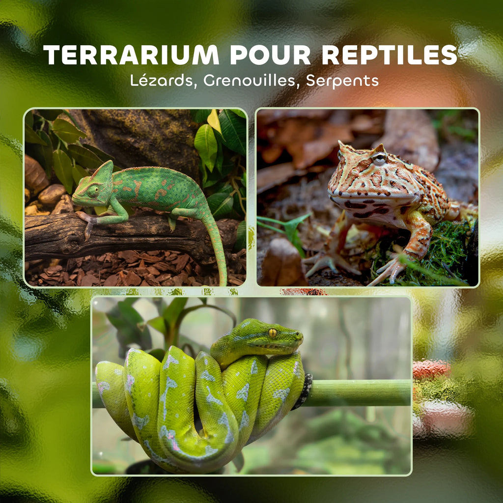 Terrarium en Verre pour Reptiles – Vivarium 12 L avec Couvercle en Grille Métallique, 20x20x30 cm, Noir