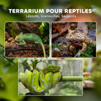 Terrarium en Verre pour Reptiles – Vivarium 12 L avec Couvercle en Grille Métallique, 20x20x30 cm, Noir