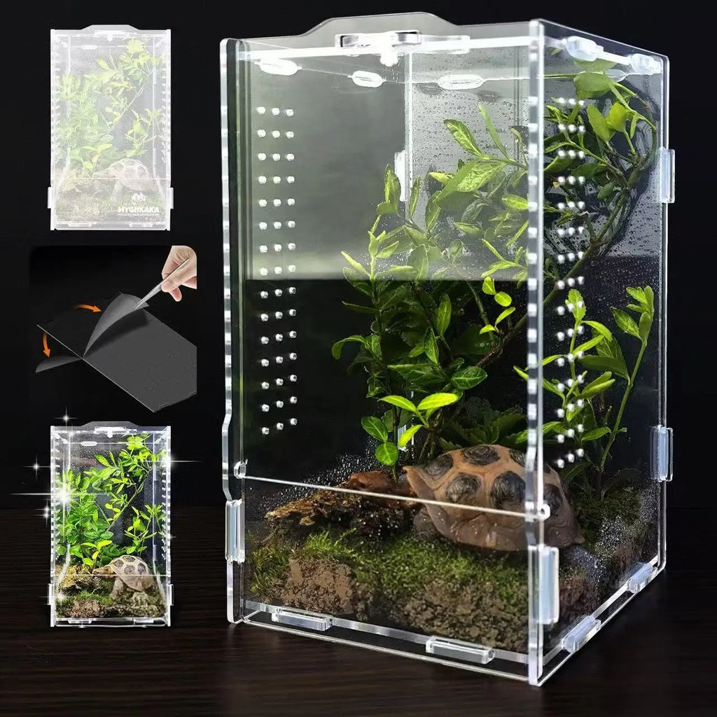Boîte en Acrylique Transparente pour Insectes – Terrarium Personnalisable pour Araignées, Décor Rainforest et Animaux Rampants