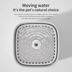 Fontaine à Eau pour Chat 3L – Filtration Triple, Grande Capacité, Silencieuse, USB, Distributeur d'Eau pour Chien et Chat