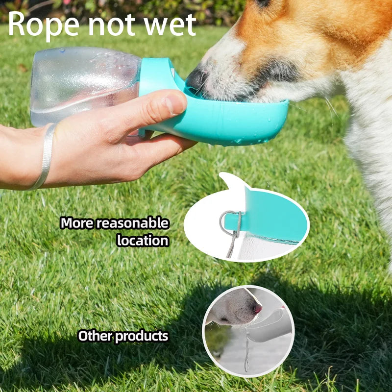 Gourde Portable pour Chien et Chat – Bol de Voyage Anti-Fuite 300 ml pour Petits et Grands Chiens, Distributeur d'Eau Outdoor