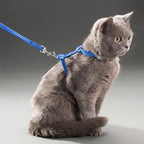 Harnais et Laisse Réglables pour Lapin et Chat – Nylon, Balade Extérieure, Chaton, Lapin Nain (Accessoires)