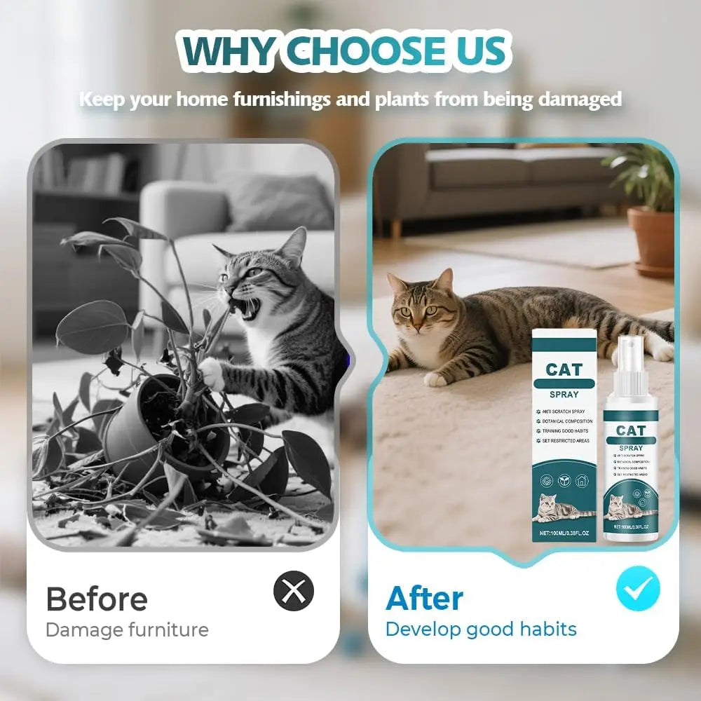 Spray Répulsif Naturel pour Chat 100ml – Anti-Griffures, Protection Meubles, Usage Intérieur Sûr