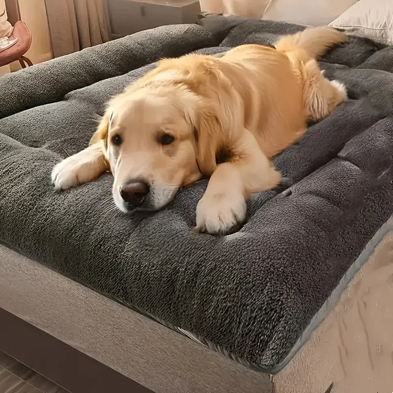 Lit Canapé pour Chien Grande Taille – Peluche Épaisse Ultra-Douce, Tapis Polyester pour Grand Chien