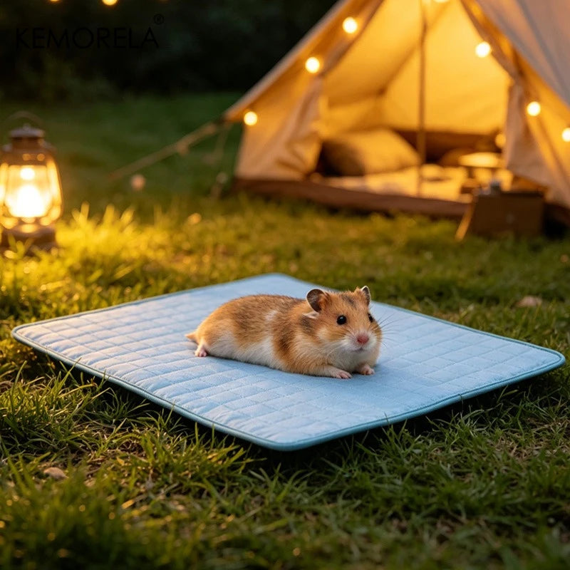 Tapis Rafraîchissant pour Chien – Lit Frais Respirant pour Petits et Grands Chiens, Idéal pour l'Été
