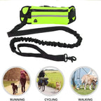 Laisse de Course pour Chien – Ceinture Lombaire avec Sac, Laisse Élastique Rétractable, Réfléchissante, Nylon
