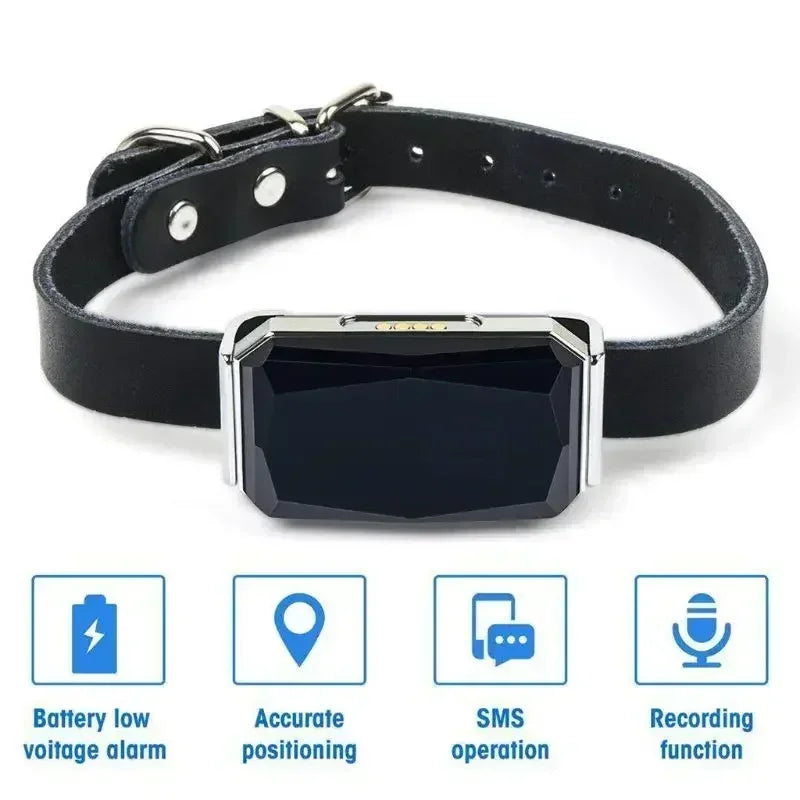 Collier GPS Mini Traceur pour Animal – GSM Wifi LBS Anti-Perte, Étanche IP67, pour Chien, Chat et Mouton