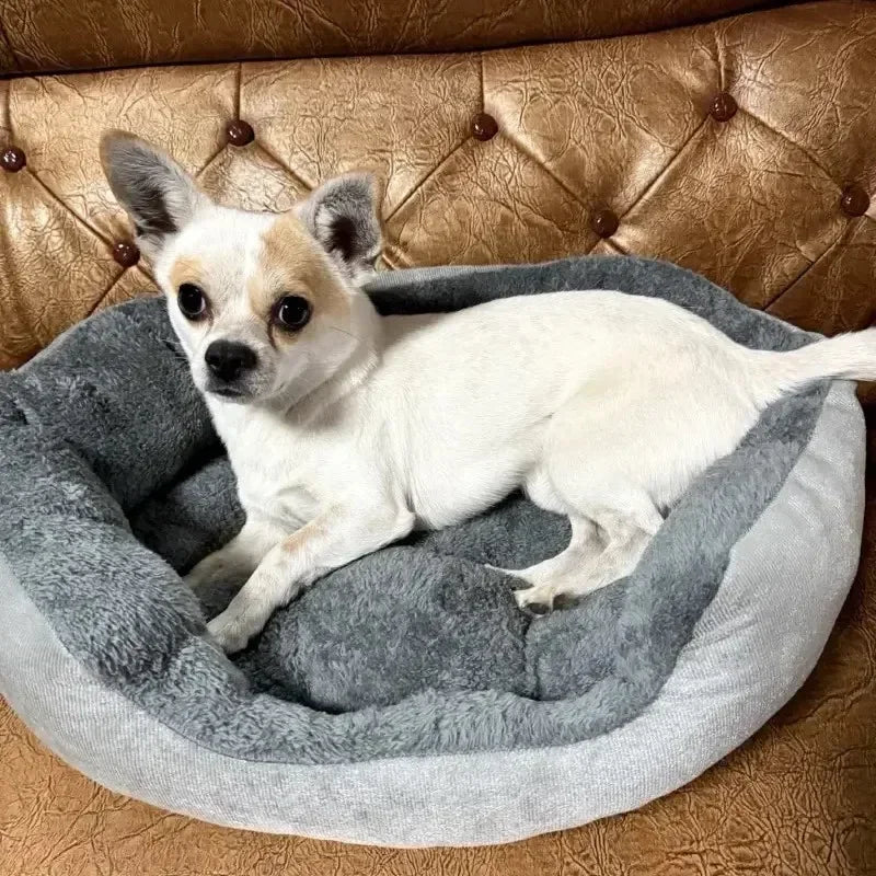 Panier Sofa Ultra Doux pour Chien et Chat – Coussin Respirant en Coton pour Moyens et Grands Chiens