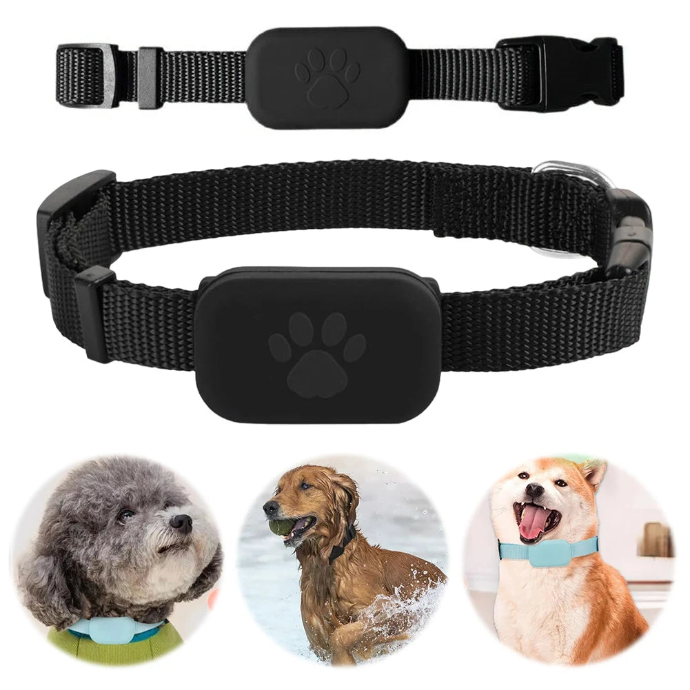 Traceur GPS Étanche pour Chien et Chat – Suivi en Temps Réel
