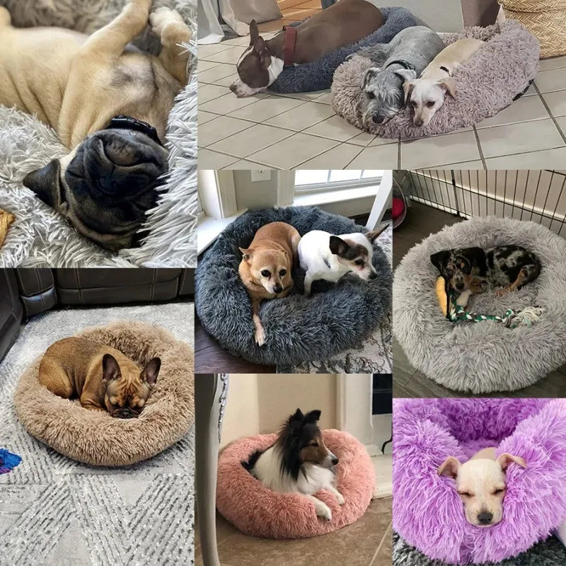 Corbeille Ronde en Peluche Longue pour Chat et Chien – Coussin Sofa Chaud, Idéal pour l'Hiver